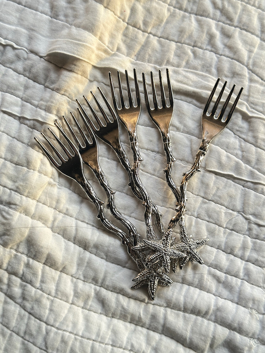 Starfish fork set