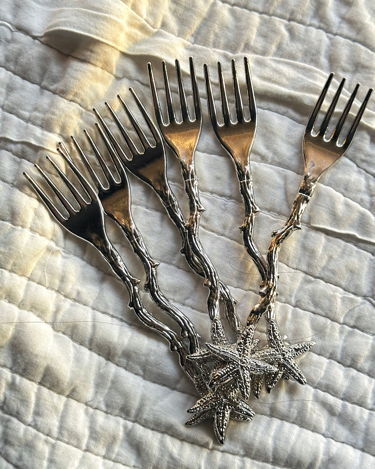 Starfish fork set